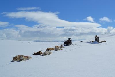 post-7299-0-05092800-1436894239_thumb.jp