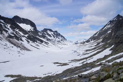 post-7957-0-39145500-1437939926_thumb.jp