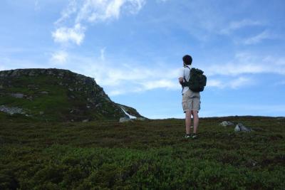 post-9055-0-09744000-1436121646_thumb.jp