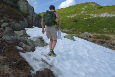 post-9055-0-80314600-1436121598_thumb.jp