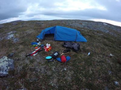 post-9346-0-79296500-1438299958_thumb.jp