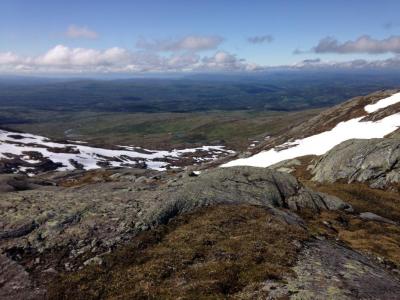 post-9845-0-33949000-1436038335_thumb.jp