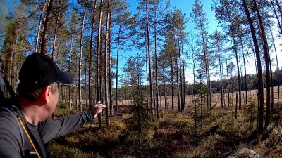 post-9907-0-10892900-1437599712_thumb.jp