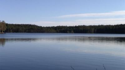 post-9907-0-75356200-1437599219_thumb.jp