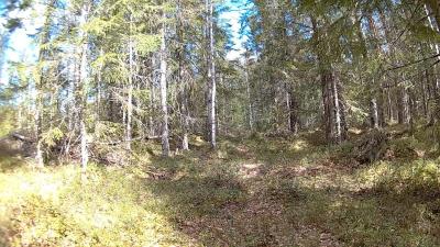 post-9907-0-88305400-1436804860_thumb.jp