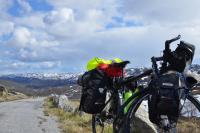 post-10136-0-00252000-1343865225_thumb.j