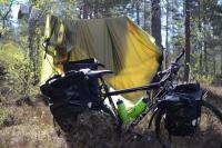 post-10136-0-41738200-1343865268_thumb.j