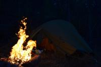 post-10136-0-87743100-1343865283_thumb.j