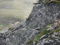 post-1073-0-82393800-1343804138_thumb.jp