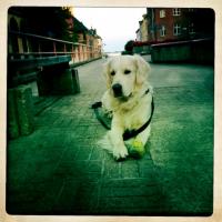 post-11141-0-83156100-1345982078_thumb.j