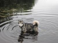 post-11193-0-41143400-1345973235_thumb.j