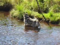 post-11193-0-74712100-1345973051_thumb.j