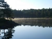 post-4220-0-35552900-1345278883_thumb.jp