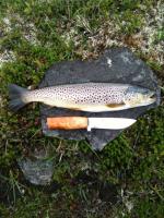 post-6441-0-18972000-1343818627_thumb.jp