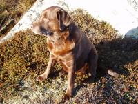 post-6671-0-50531700-1346342518_thumb.jp