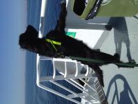 post-7046-0-99941600-1346229429_thumb.jp