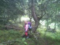 post-7957-0-38881300-1344189093_thumb.jp