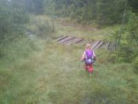 post-7957-0-71994800-1344189049_thumb.jp