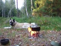 post-8832-0-57497500-1346082170_thumb.jp