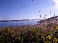 post-8832-0-98483700-1345059917_thumb.jp