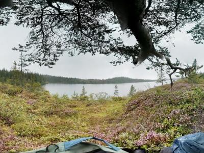 post-10513-0-02573500-1376249362_thumb.j