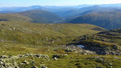 post-12082-0-86895700-1377462175_thumb.j