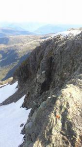 post-12082-0-96006900-1377462684_thumb.j