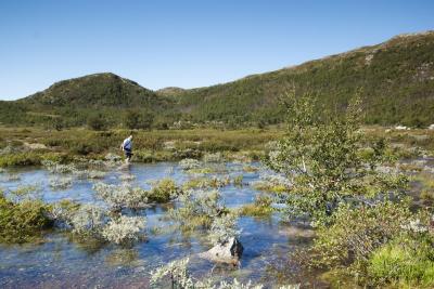 post-12278-0-06518200-1376403057_thumb.j