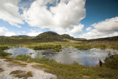 post-12278-0-28543600-1376409278_thumb.j