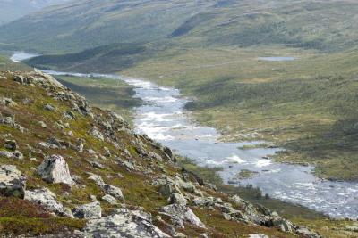 post-12278-0-29458600-1376407939_thumb.j