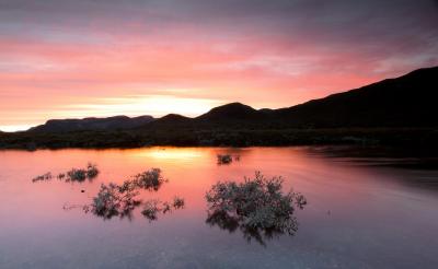 post-12278-0-31602400-1376408989_thumb.j