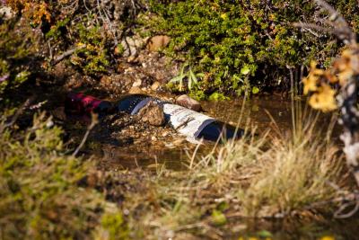 post-12278-0-48792300-1376403617_thumb.j