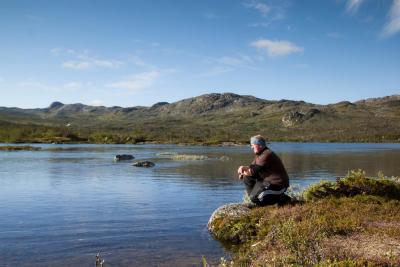 post-12278-0-55705800-1376401842_thumb.j