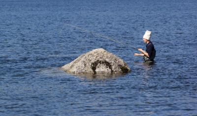 post-12278-0-59648800-1376402675_thumb.j