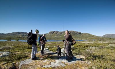 post-12278-0-62733600-1376402332_thumb.j