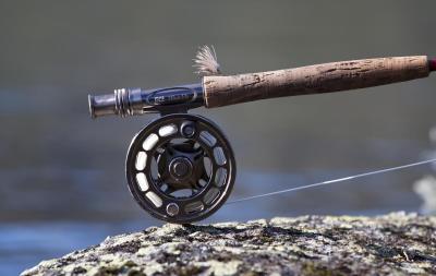 post-12278-0-65791400-1376402498_thumb.j