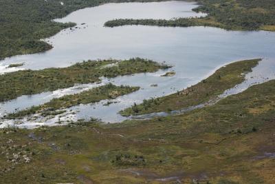 post-12278-0-71795500-1376407975_thumb.j