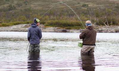 post-12278-0-88946700-1376408751_thumb.j