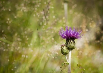 post-12278-0-90800200-1376408372_thumb.j