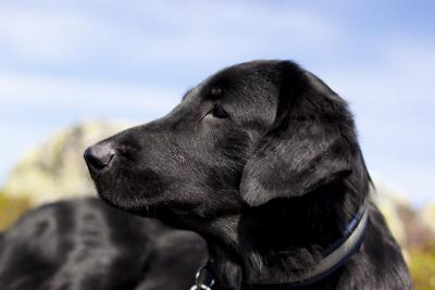 post-12278-0-91521800-1376408184_thumb.j