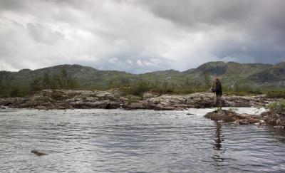 post-12278-0-97605600-1376401080_thumb.j