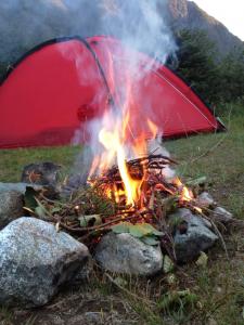 post-12971-0-71924200-1377538316_thumb.j