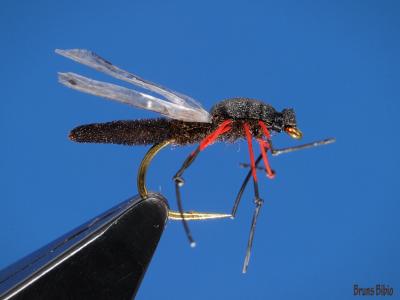 post-4220-0-16738400-1375423348_thumb.jp