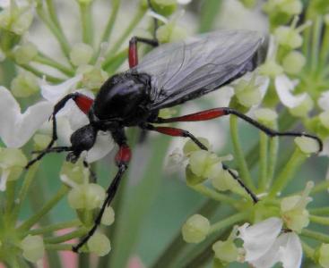 post-4220-0-26069900-1375423330_thumb.jp