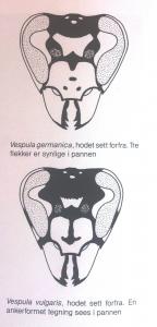 post-4220-0-40439200-1376145512_thumb.jp