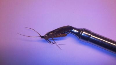 post-4220-0-52421600-1376809088_thumb.jp