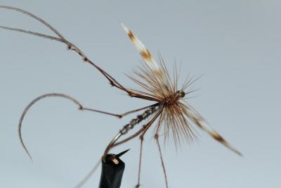 post-4220-0-60999000-1375423566_thumb.jp