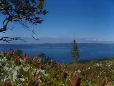 post-6789-0-54352000-1377636072_thumb.jp