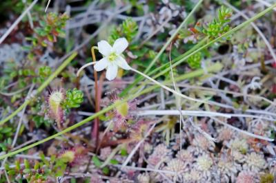 post-8581-0-68659800-1375769613_thumb.jp