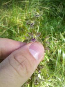 post-8581-0-99054000-1376344478_thumb.jp